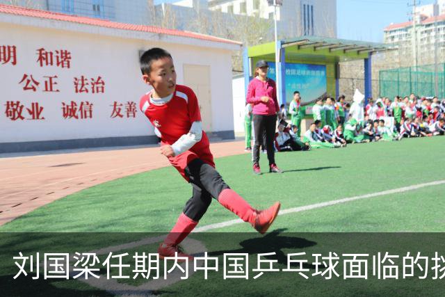 刘国梁任期内中国乒乓球面临的挑战与反思